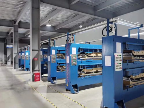 湖北翔馳運(yùn)動(dòng)用品 加快培育新質(zhì)生產(chǎn)力 賦能企業(yè)創(chuàng)新發(fā)展